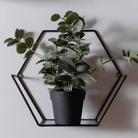 Diamond By Renters Prestige * Cracovie